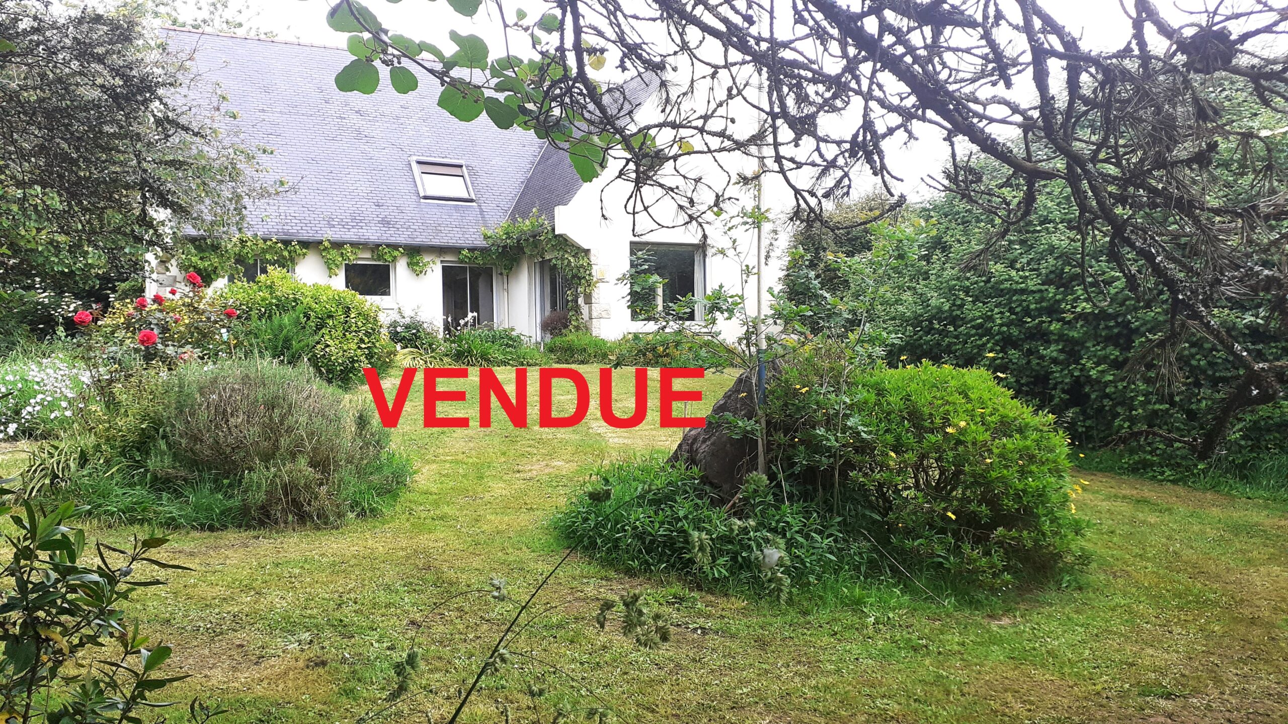 Maison T8 proche plages plouzane 6 chambres, sous sol garage, 8000 m² de terrain